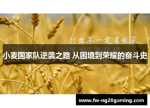 小麦国家队逆袭之路 从困境到荣耀的奋斗史