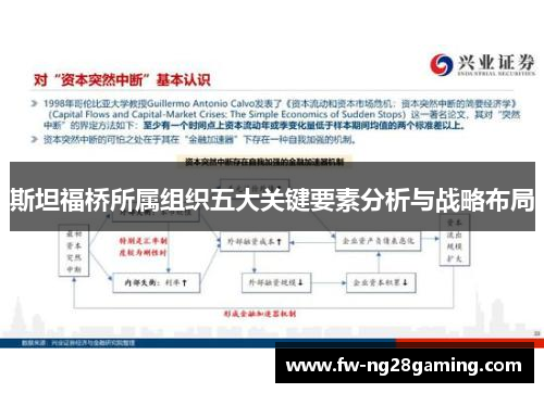 斯坦福桥所属组织五大关键要素分析与战略布局