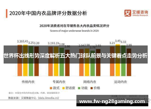 世界杯出线形势深度解析五大热门球队前景与关键看点走势分析