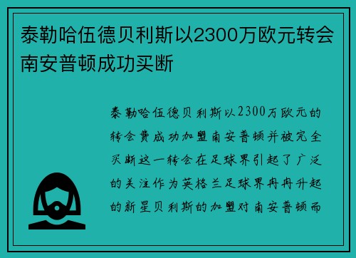 泰勒哈伍德贝利斯以2300万欧元转会南安普顿成功买断